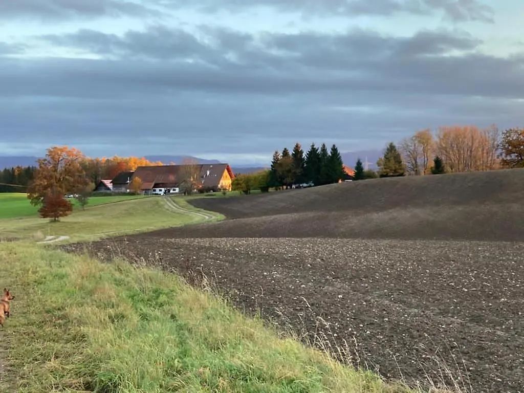 Ferienwohnung Mit Alpenblick Antdorf Germany